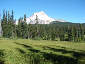 Mt. Hood from Elk Meadows