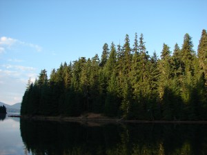 Timothy Lake