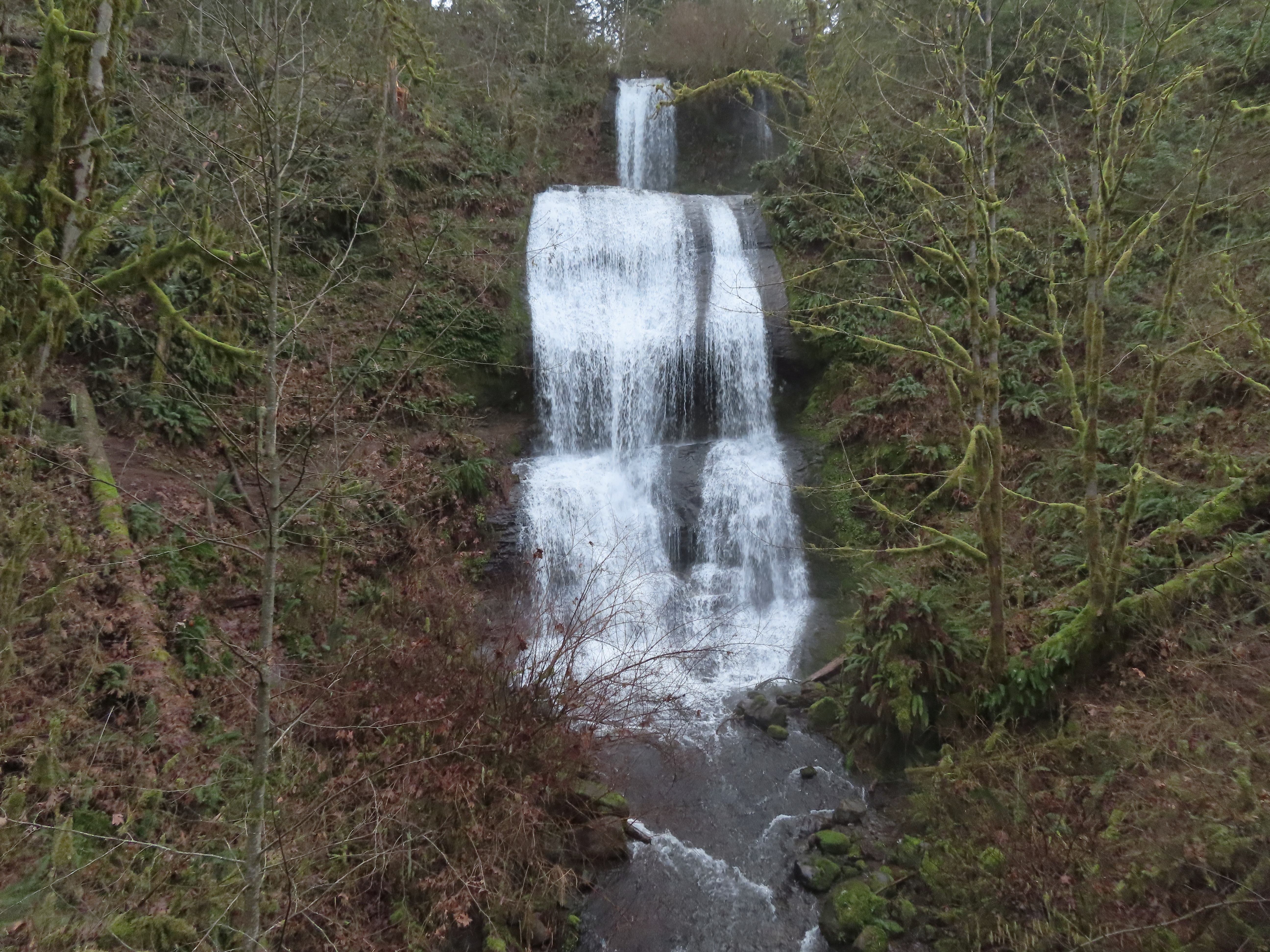 Lower McDowell Creek Falls – wanderingyuncks