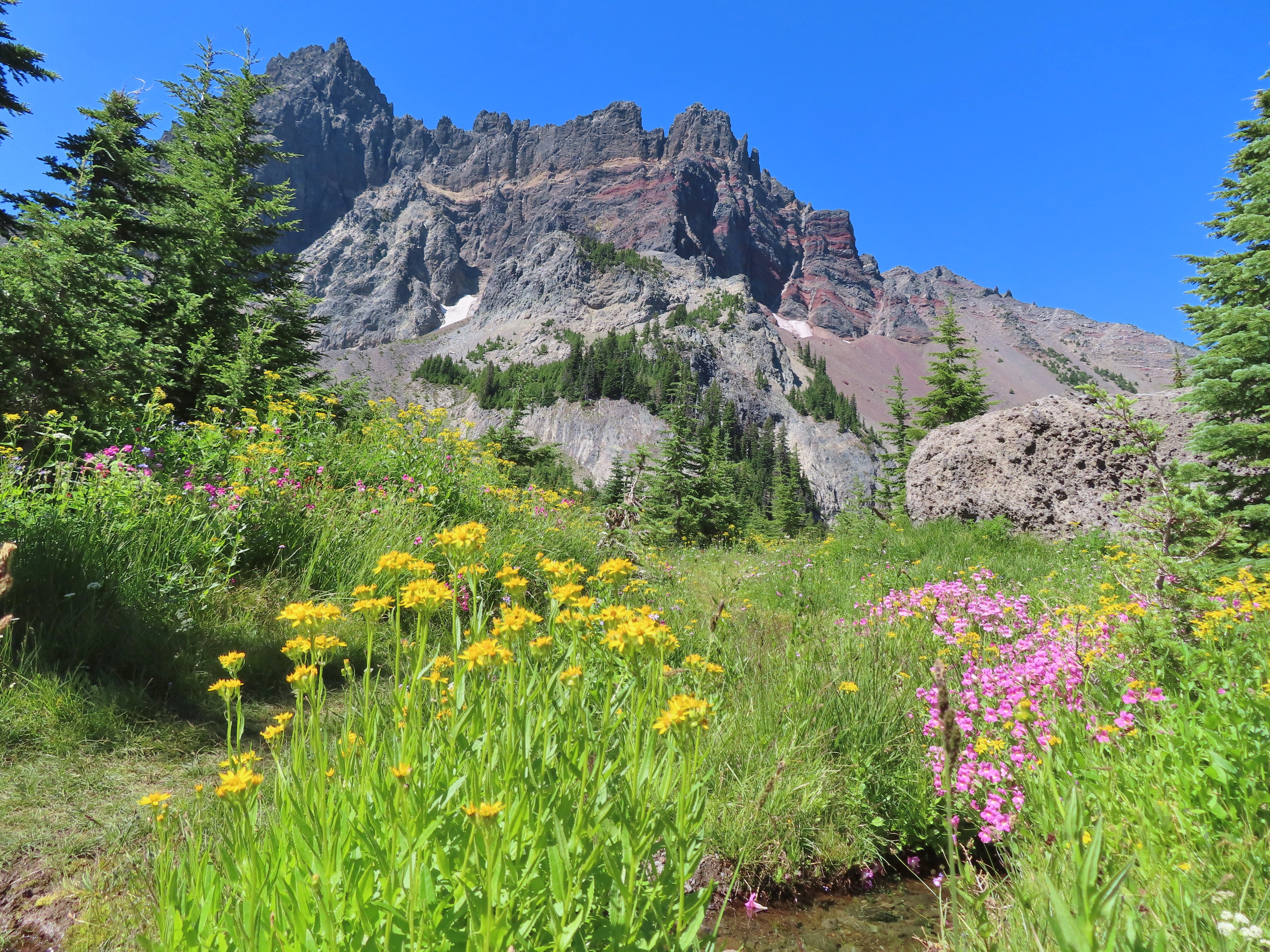 Canyon Creek Meadows – 07/18/2026 – wanderingyuncks